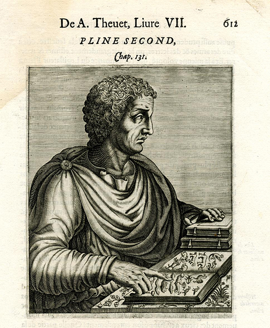  Все дошедшие до нас изображения &mdash; более поздние реконструкции или условные образы, созданные на основе описаний его деятельности как римского писателя, натуралиста и флотоводца, погибшего при извержении Везувия