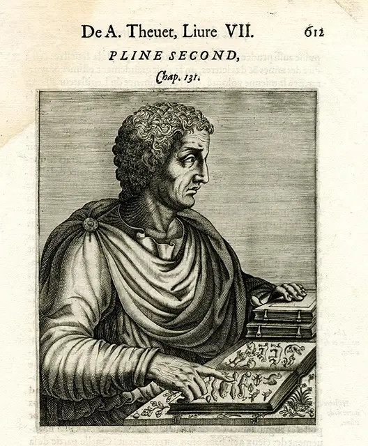 Все дошедшие до нас изображения — более поздние реконструкции или условные образы, созданные на основе описаний его деятельности как римского писателя, натуралиста и флотоводца, погибшего при извержении Везувия Все дошедшие до нас изображения — более поздние реконструкции или условные образы, созданные на основе описаний его деятельности как римского писателя, натуралиста и флотоводца, погибшего при извержении Везувия